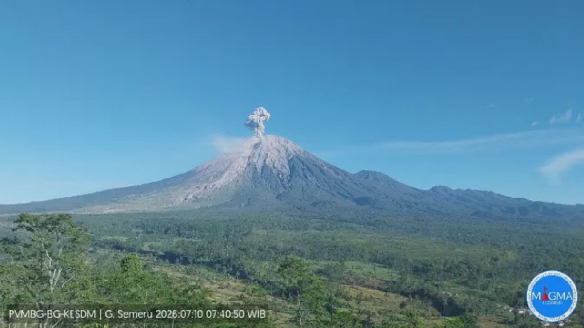Gunung Semeru Erupsi Jumat Pagi, PVMBG Rilis Status Siaga