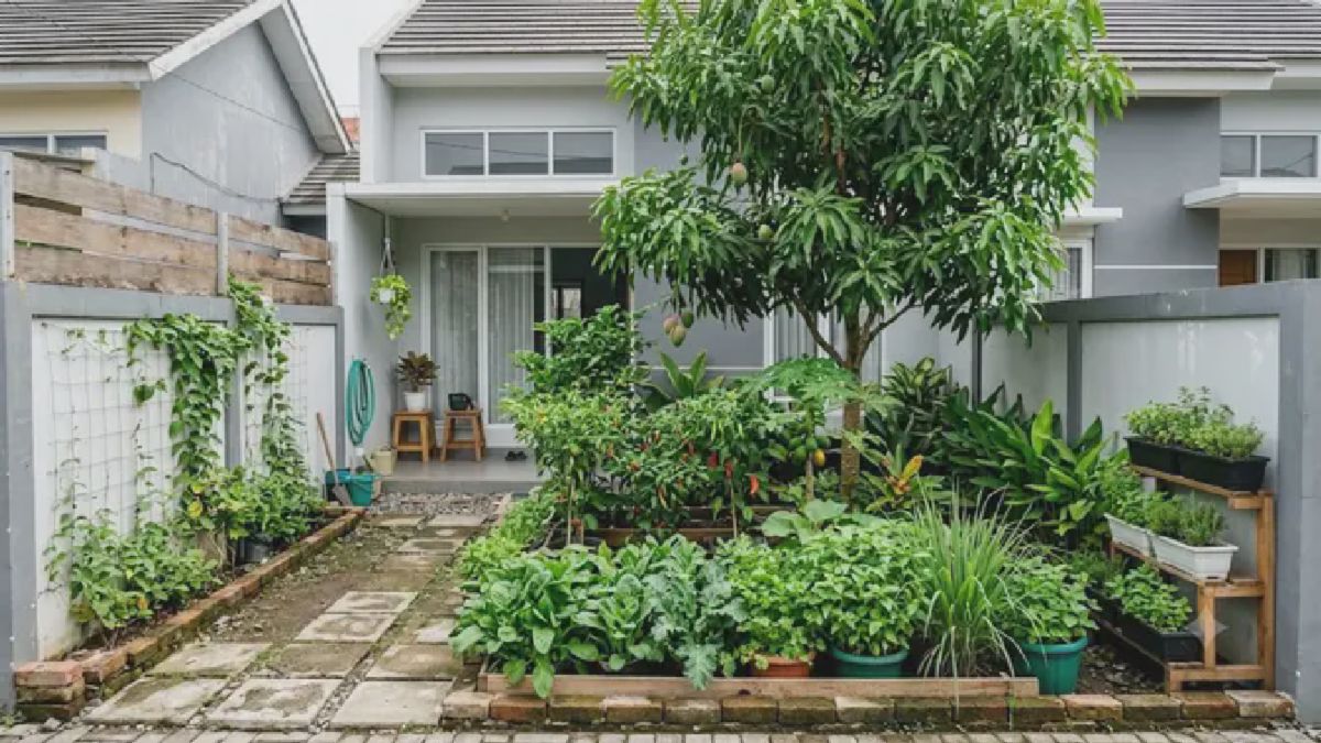 Konsep Food Forest Panen Melimpah di Lahan Kurang dari 100 Meter Persegi