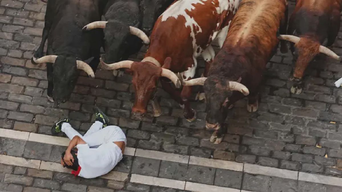 Peserta Lari Banteng San Fermin Terjatuh di Depan Banteng Aduan