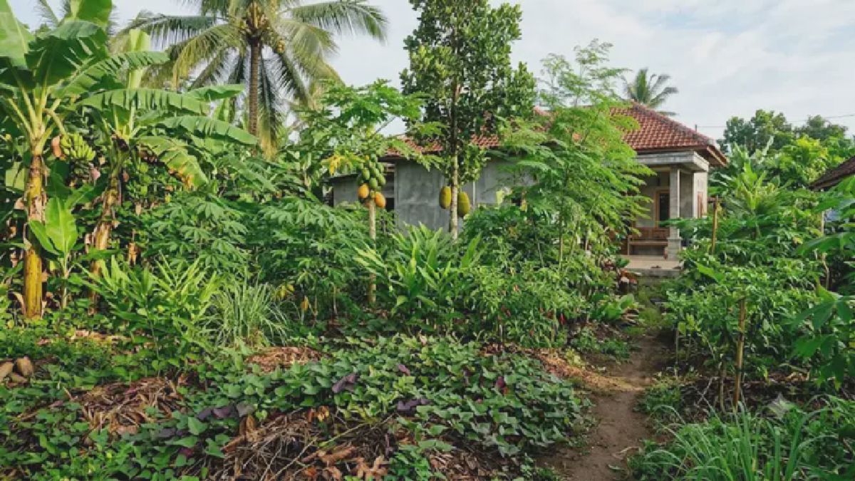 Program Hutan Pangan Tropis Diluncurkan, 10 Tanaman Esensial Diperkenalkan