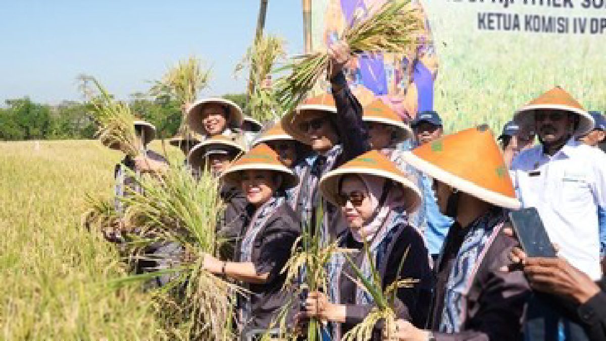 Kolaborasi BULOG dan Komisi IV DPR Perkuat Kesejahteraan Petani