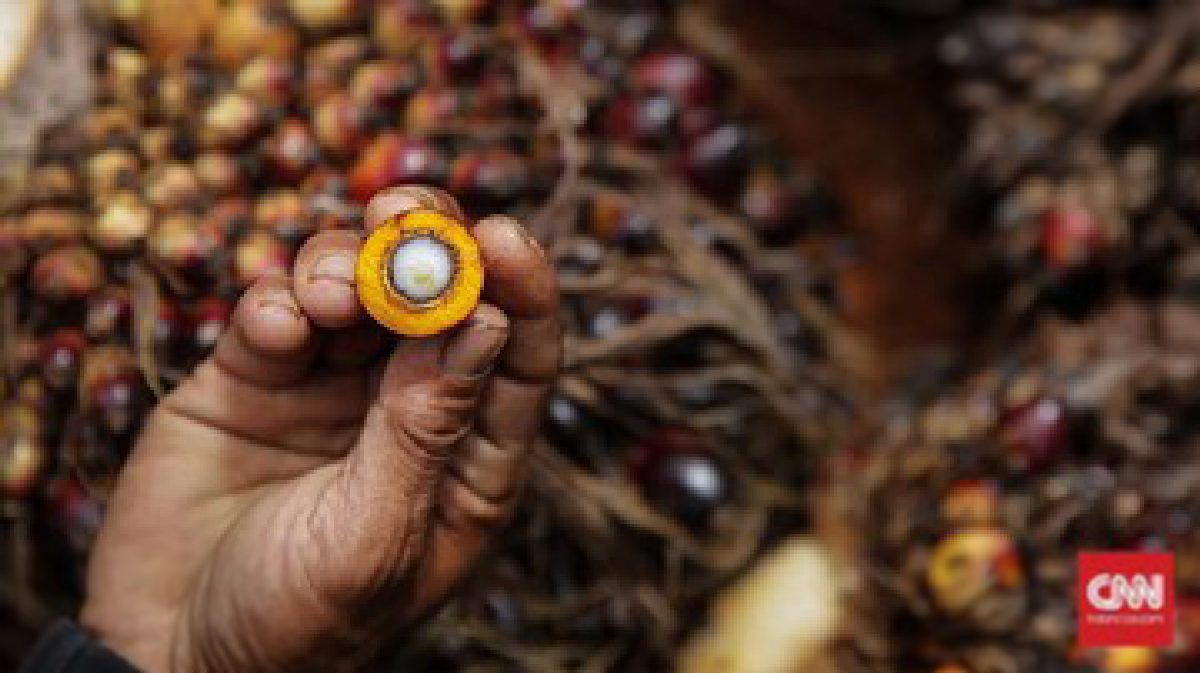Agrinas Palma Kelola 4,11 Juta Hektare Lahan Perkebunan