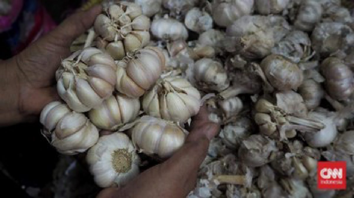 Harga Bawang Putih Melonjak di 269 Daerah, Tembus Rp100 Ribu