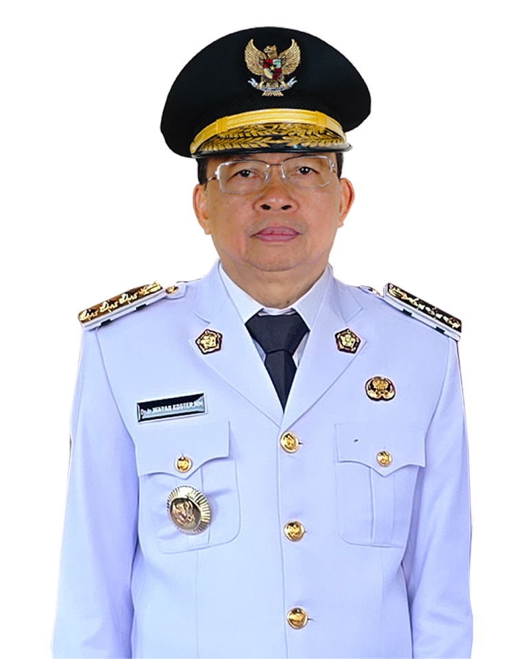 I Wayan Koster: Profil dan Kinerja Gubernur Bali